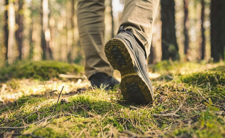 illustratie voeten in het bos