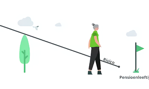 risicoprofiel-bepalen-500x300